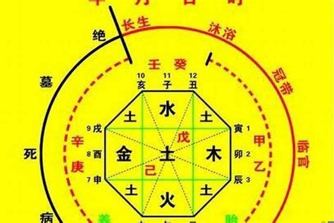 八字 十神 查詢|生辰八字算命、五行喜用神查詢（免費測算）